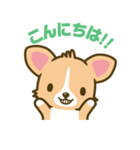 ウェルシュ・コーギー／welsh corgi（個別スタンプ：2）