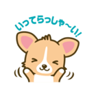 ウェルシュ・コーギー／welsh corgi（個別スタンプ：6）