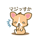 ウェルシュ・コーギー／welsh corgi（個別スタンプ：19）