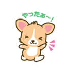 ウェルシュ・コーギー／welsh corgi（個別スタンプ：21）