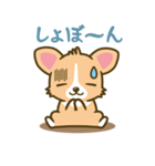 ウェルシュ・コーギー／welsh corgi（個別スタンプ：23）
