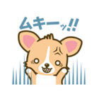 ウェルシュ・コーギー／welsh corgi（個別スタンプ：26）