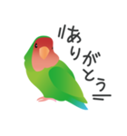 カラフルインコちゃん（個別スタンプ：6）