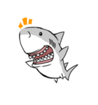 【ホホジロザメ】サメ【ホオジロザメ】（個別スタンプ：9）