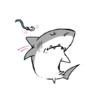 【ホホジロザメ】サメ【ホオジロザメ】（個別スタンプ：10）