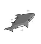 【ホホジロザメ】サメ【ホオジロザメ】（個別スタンプ：18）