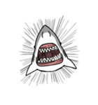 【ホホジロザメ】サメ【ホオジロザメ】（個別スタンプ：24）