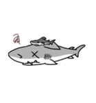 【ホホジロザメ】サメ【ホオジロザメ】（個別スタンプ：28）
