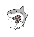 【ホホジロザメ】サメ【ホオジロザメ】（個別スタンプ：32）