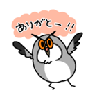 フクロウのスタンプ（個別スタンプ：15）