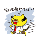 博多ねこおやじ（個別スタンプ：12）