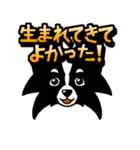 犬と猫と相合傘1 (日本語版)（個別スタンプ：11）