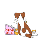 JRT-ジャックラッセルテリア（個別スタンプ：18）