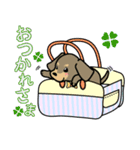 bagdog！！！（個別スタンプ：25）