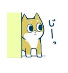 わんこスタンプ（日常会話編）（個別スタンプ：15）