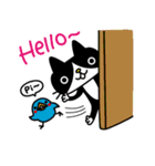 CATS ＆ PEACE（個別スタンプ：5）