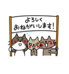 CATS ＆ PEACE（個別スタンプ：40）