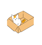 猫日和（個別スタンプ：7）