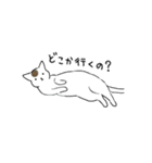 猫日和（個別スタンプ：29）