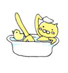 yellow cat（個別スタンプ：10）