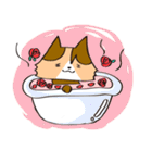 sakumugicats（個別スタンプ：7）