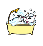 CATS PARTY（個別スタンプ：34）