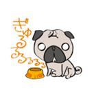 pugchii（個別スタンプ：12）