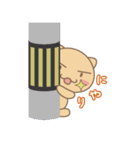 野良猫フウの日常生活（個別スタンプ：33）