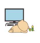 野良猫フウの日常生活（個別スタンプ：37）