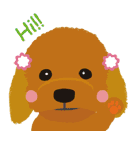Dog's1（個別スタンプ：11）
