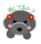 Dog's1（個別スタンプ：20）