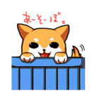 犬日和。（個別スタンプ：3）