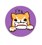 犬日和。（個別スタンプ：4）