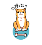 犬日和。（個別スタンプ：8）