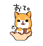 犬日和。（個別スタンプ：20）