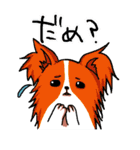 犬日和。（個別スタンプ：24）