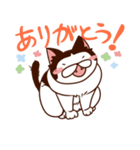 ずらねこ。（個別スタンプ：14）