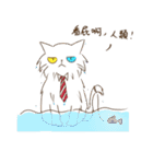 Chacha ＆ Her cats（個別スタンプ：16）