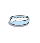 あめ～ばねこ（個別スタンプ：2）