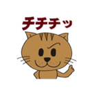 ねこのロッティ（個別スタンプ：1）