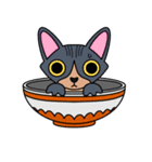 猫丼（個別スタンプ：28）