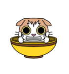 猫丼（個別スタンプ：31）