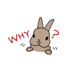 おもしろうさぎ（個別スタンプ：14）