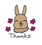 おもしろうさぎ（個別スタンプ：15）