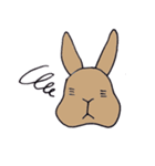 おもしろうさぎ（個別スタンプ：19）