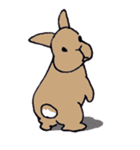 おもしろうさぎ（個別スタンプ：37）
