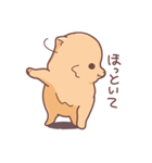 ころころわんこ（個別スタンプ：23）