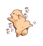 ころころわんこ（個別スタンプ：38）