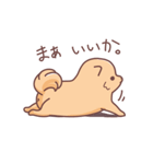 ころころわんこ（個別スタンプ：39）