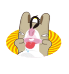 Dumpy Rabbit（個別スタンプ：26）